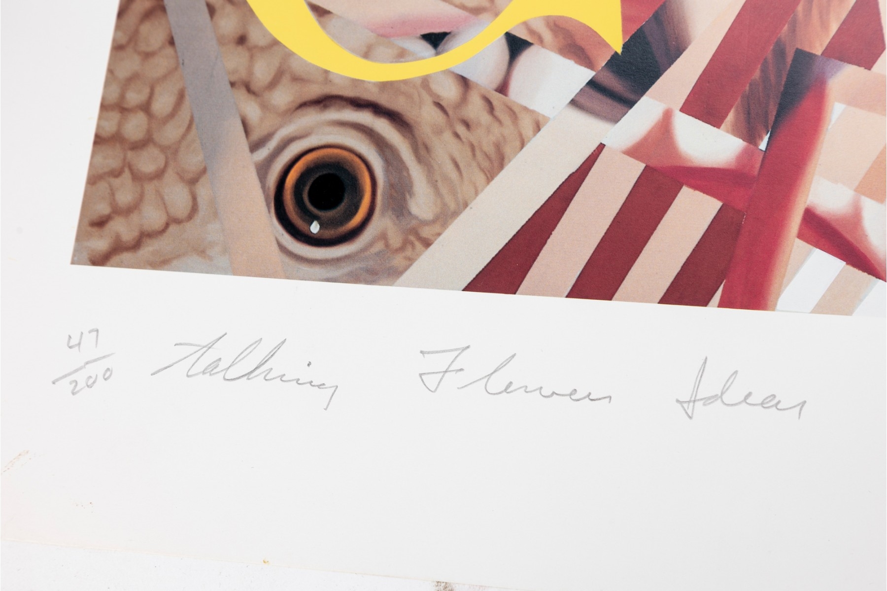 Artwork by James Rosenquist, Talking Flowers, Ideas, Made of Pencil