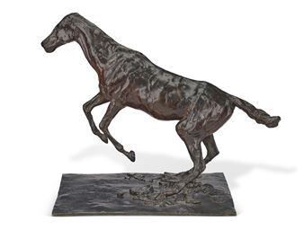 Cheval s'enlevant sur l'obstacle