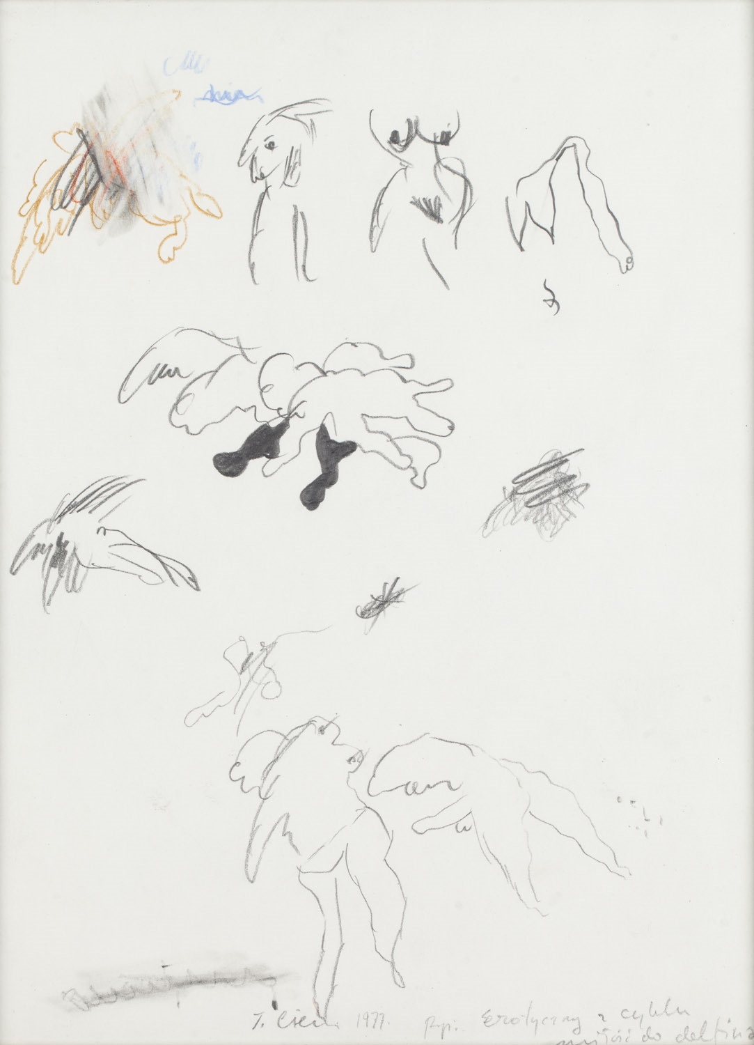 Artwork by Tomasz Ciecierski, Erotic" from the series "love towards a dolphine, Made of pencil, crayon/paper