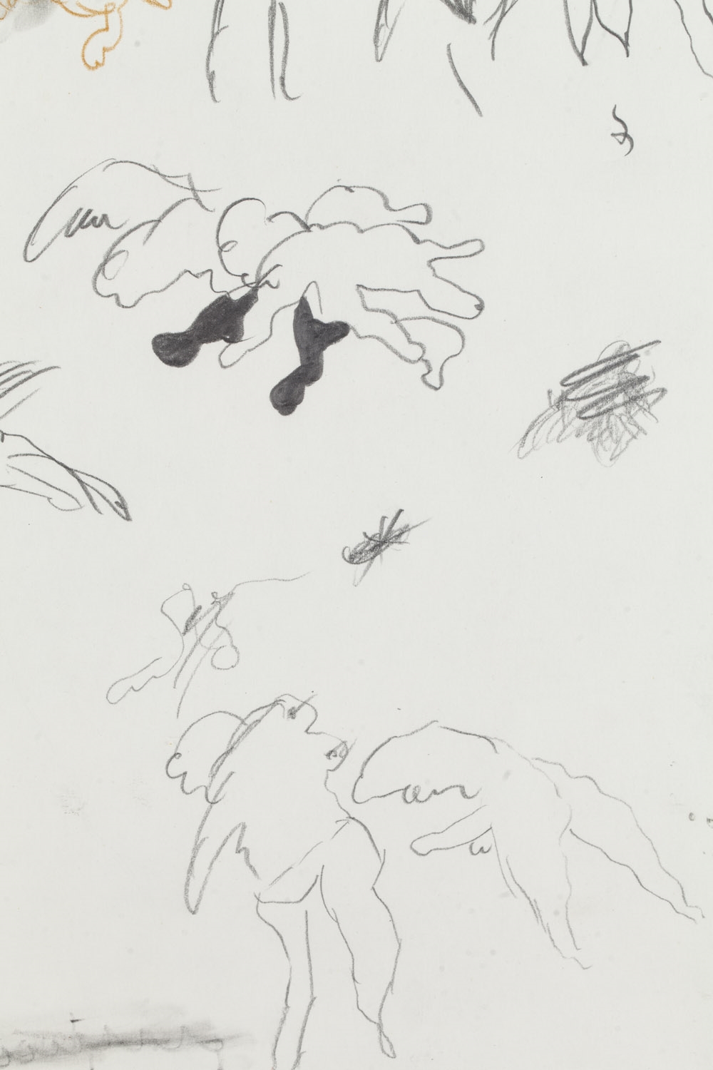 Artwork by Tomasz Ciecierski, Erotic" from the series "love towards a dolphine, Made of pencil, crayon/paper