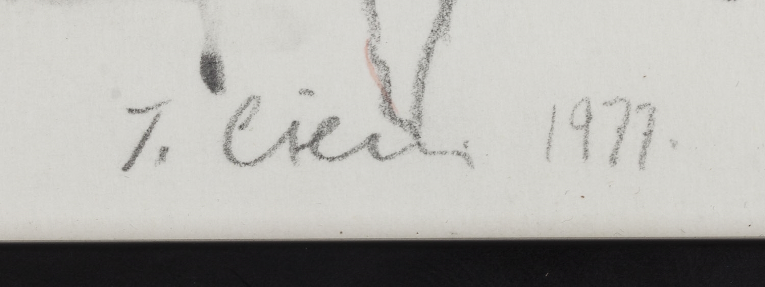 Artwork by Tomasz Ciecierski, Erotic" from the series "love towards a dolphine, Made of pencil, crayon/paper