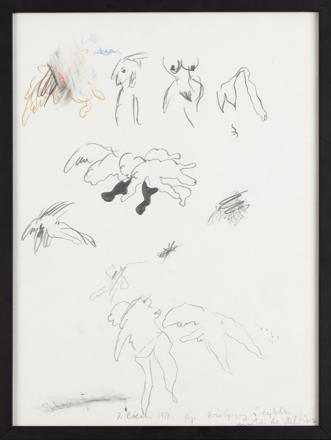 Artwork by Tomasz Ciecierski, Erotic" from the series "love towards a dolphine, Made of pencil, crayon/paper