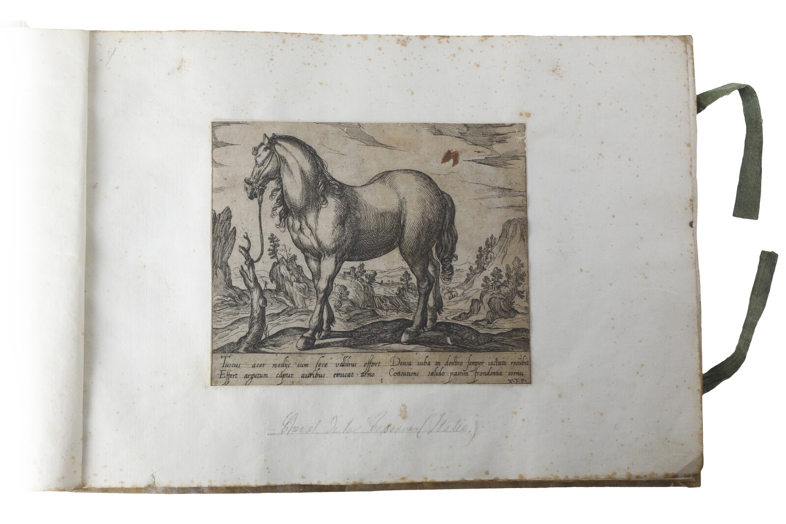 Artwork by Antonio Tempesta, Cavalli di diversi paesi, Made of Eching