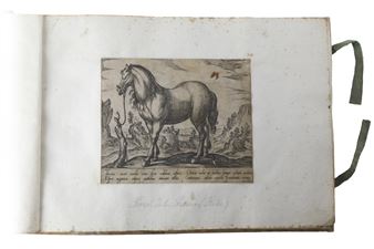 Cavalli di diversi paesi - Antonio Tempesta