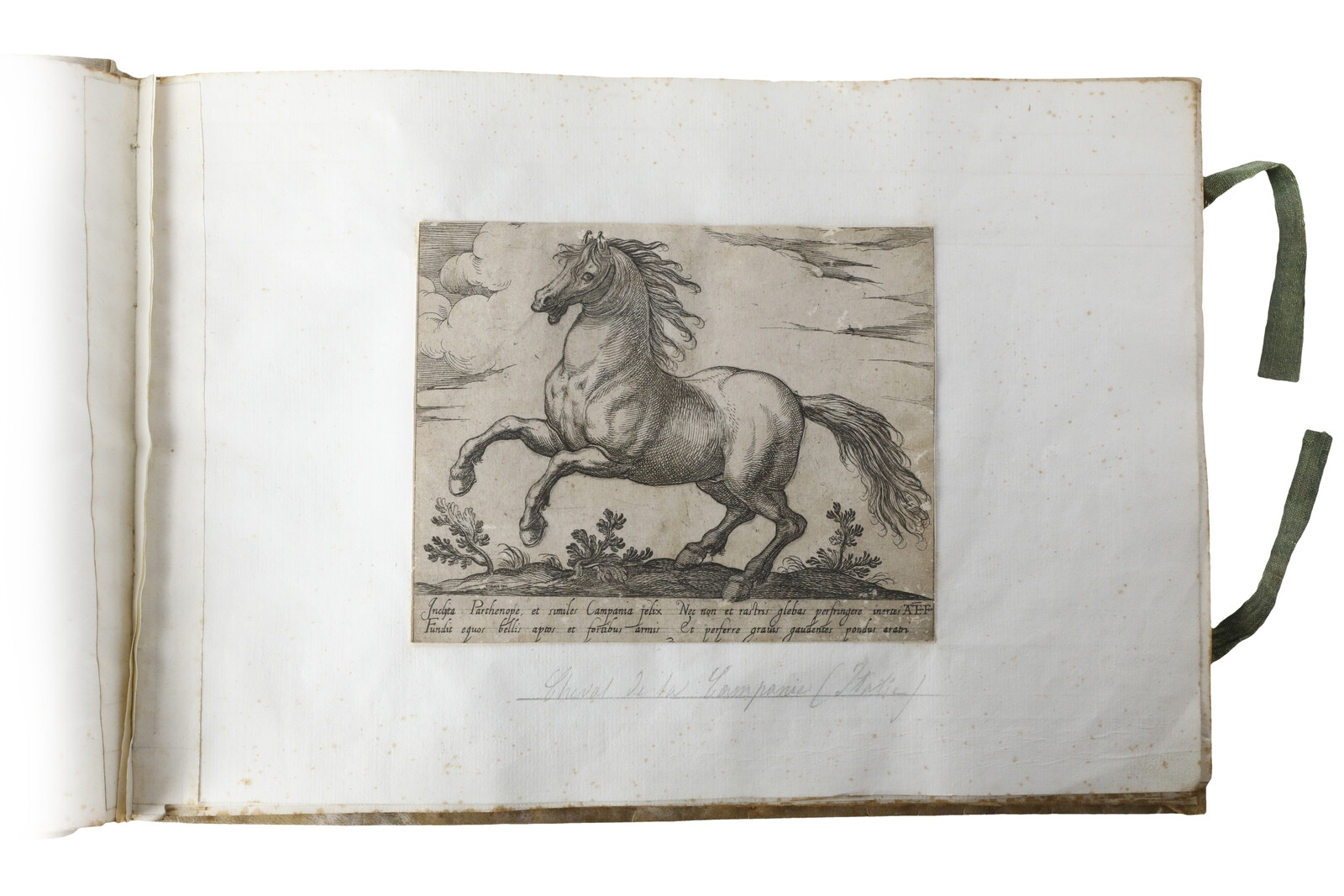 Artwork by Antonio Tempesta, Cavalli di diversi paesi, Made of Eching