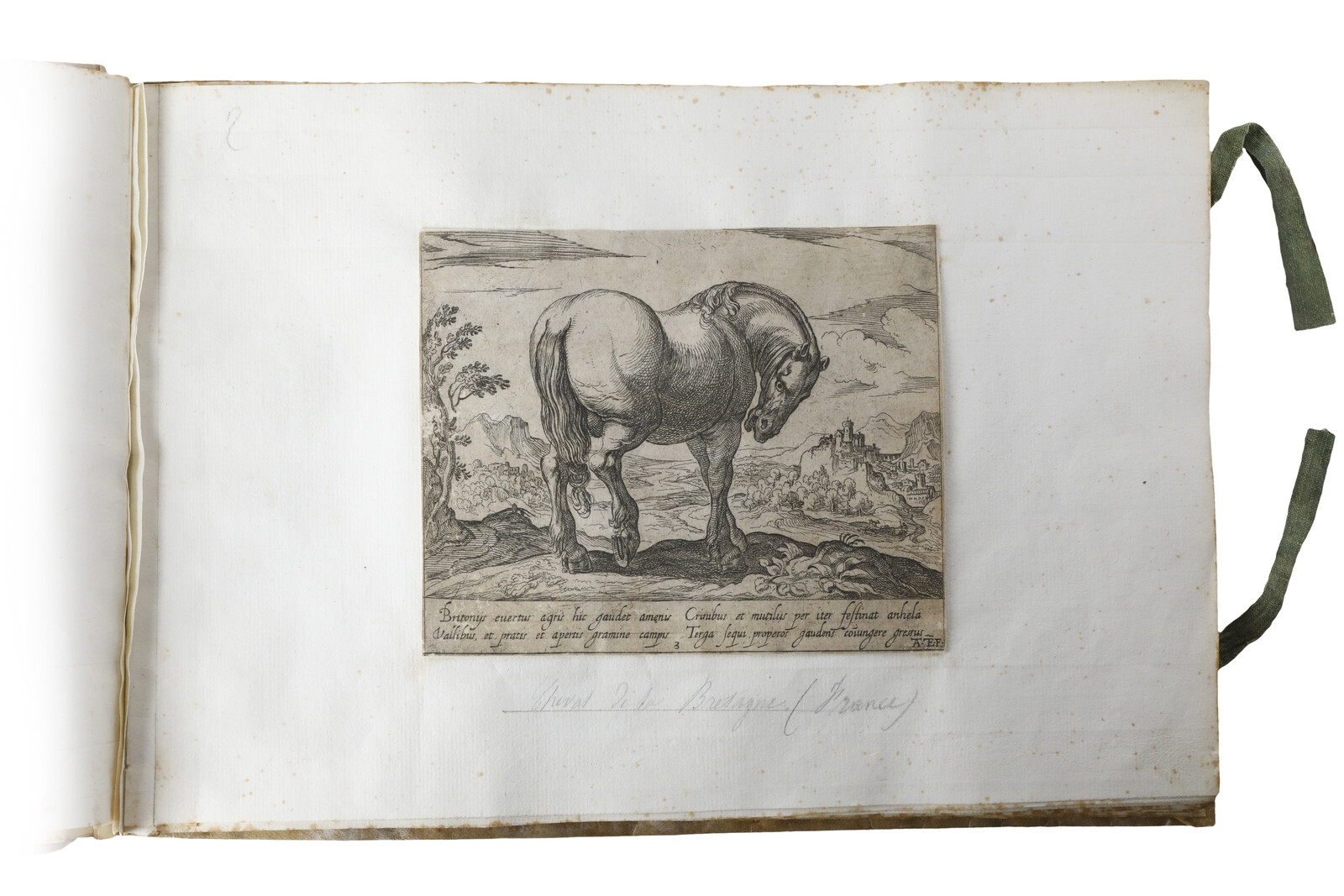 Artwork by Antonio Tempesta, Cavalli di diversi paesi, Made of Eching