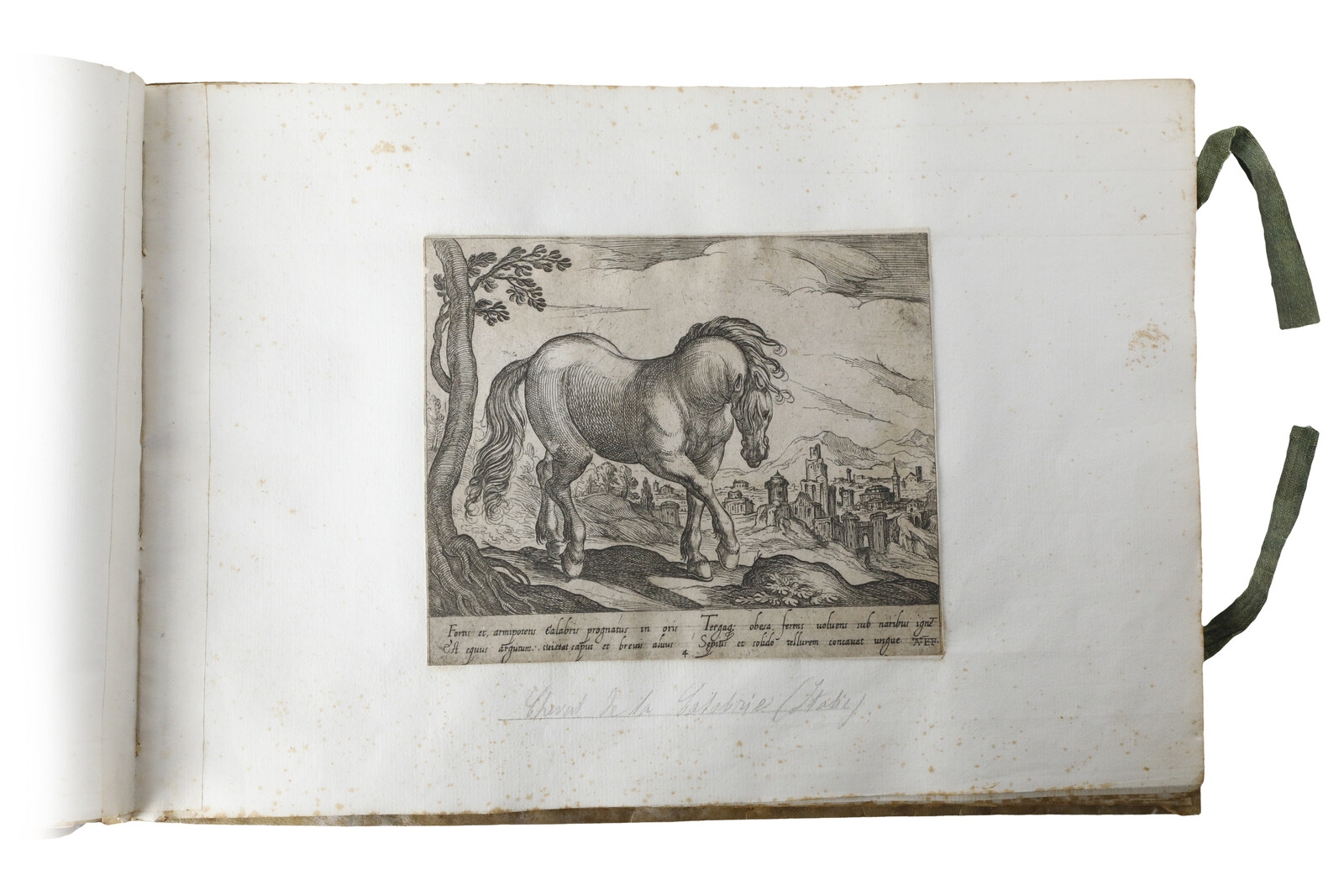 Artwork by Antonio Tempesta, Cavalli di diversi paesi, Made of Eching