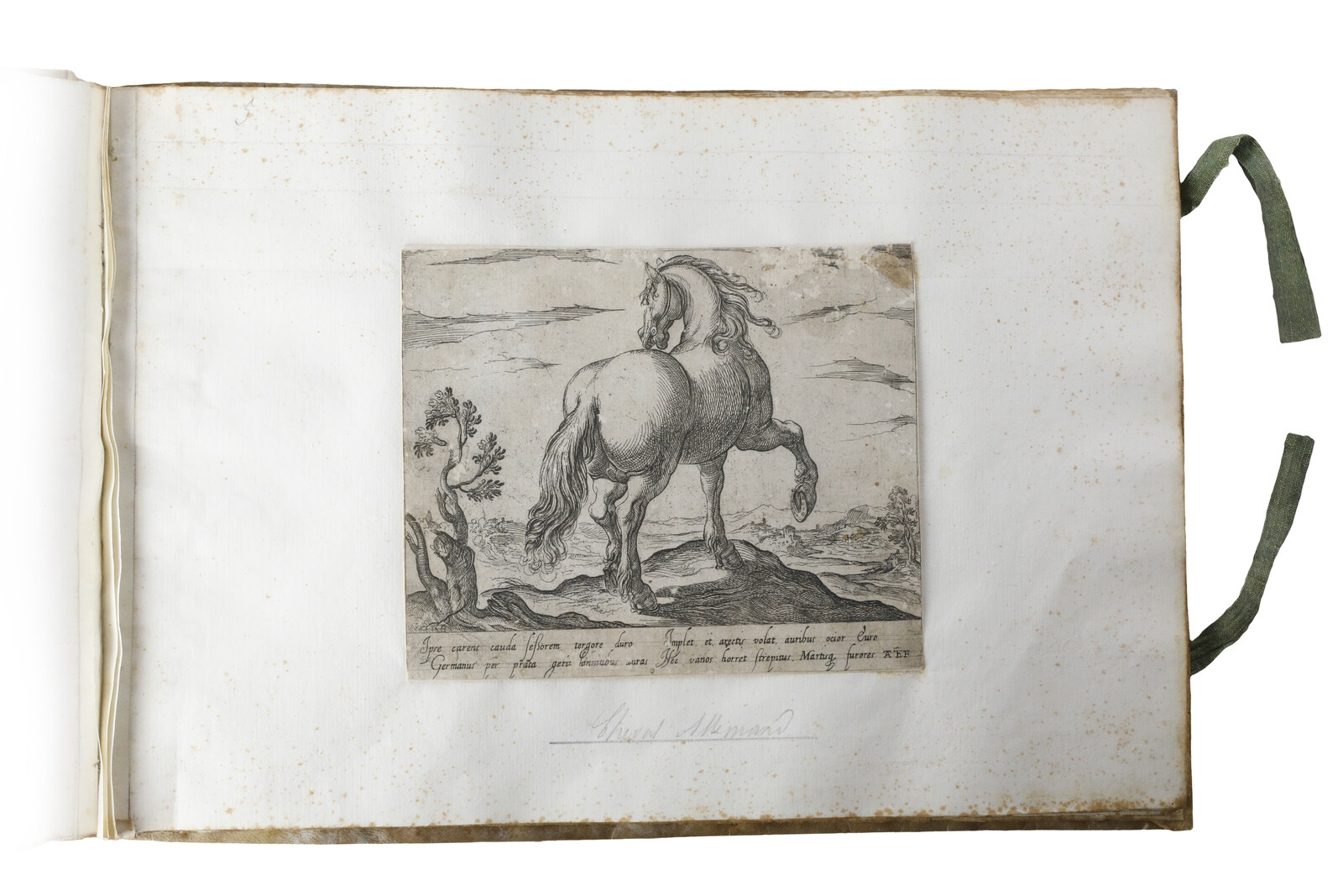 Artwork by Antonio Tempesta, Cavalli di diversi paesi, Made of Eching