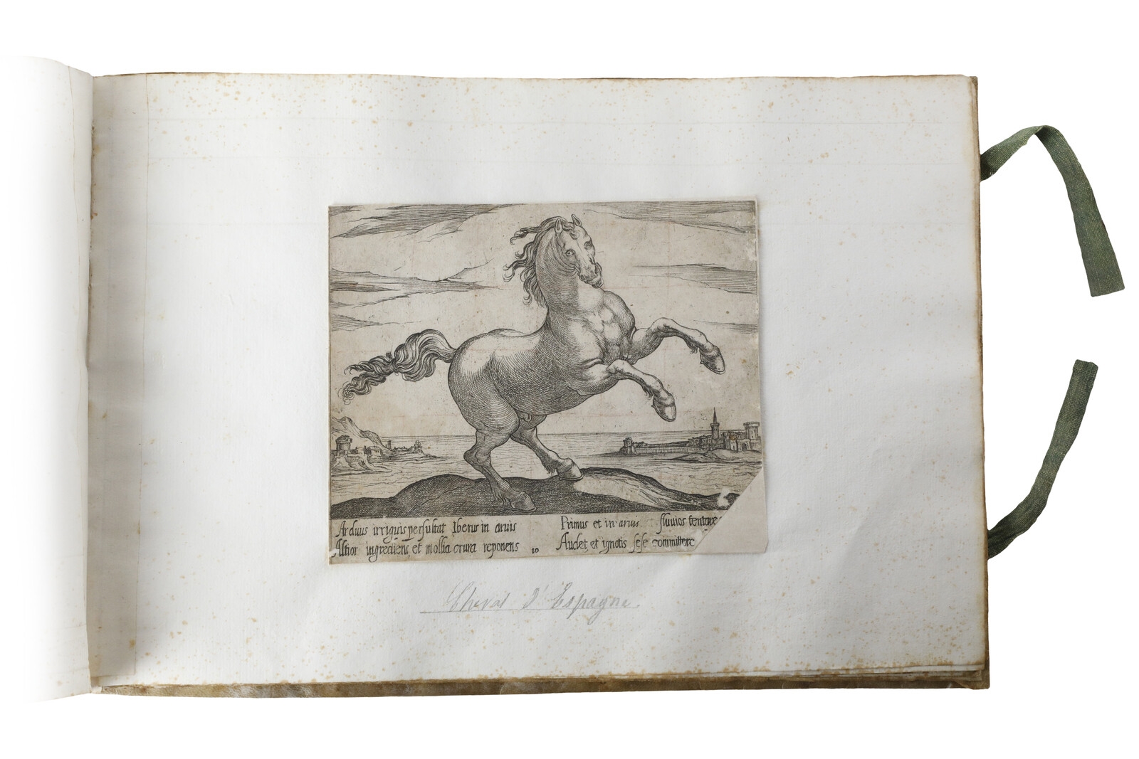 Artwork by Antonio Tempesta, Cavalli di diversi paesi, Made of Eching