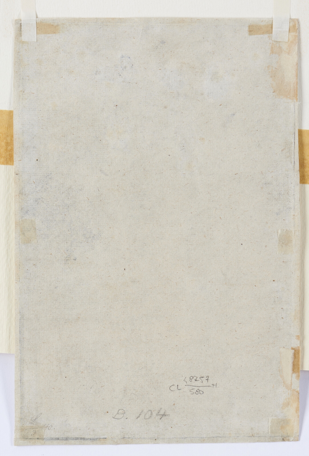 Artwork by Albrecht Dürer, Federico II il Saggio, Elettore di Sassonia, Made of Engraving