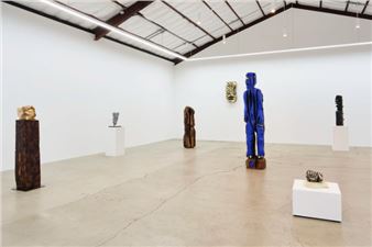 Ryan Schneider: Earth Canal - The Pit, Los Angeles