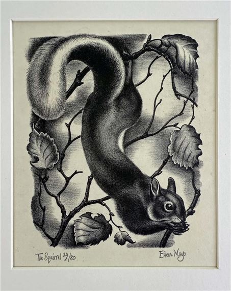 The Squirrel - Eileen Mayo