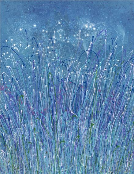 Kakadu Night Sky - Max Milan