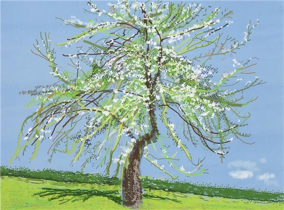 Untitled - David Hockney