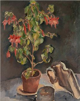 Krukväxt med snäcka - Tor Bjurström