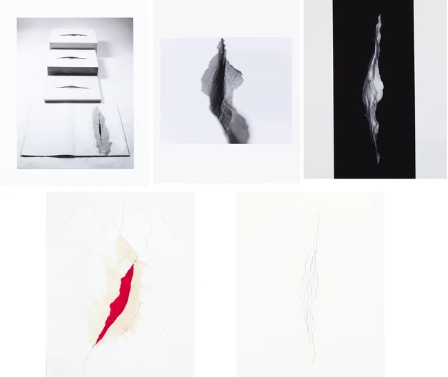 Artwork by Anish Kapoor, Wound, Made of Silk Covered Book With Text Printed In Letterpress Onto Blanc Anciens 310Gsm Handmade Paper