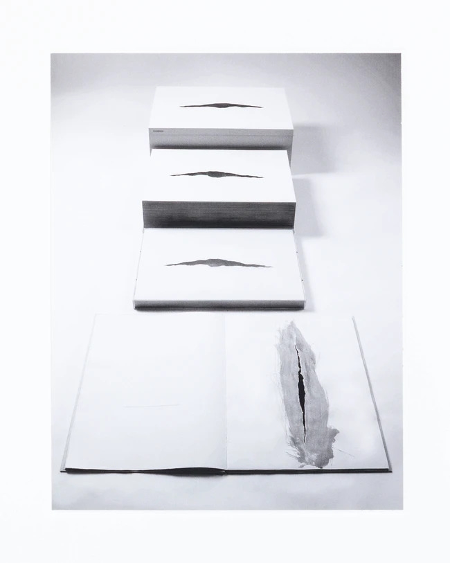 Artwork by Anish Kapoor, Wound, Made of Silk Covered Book With Text Printed In Letterpress Onto Blanc Anciens 310Gsm Handmade Paper