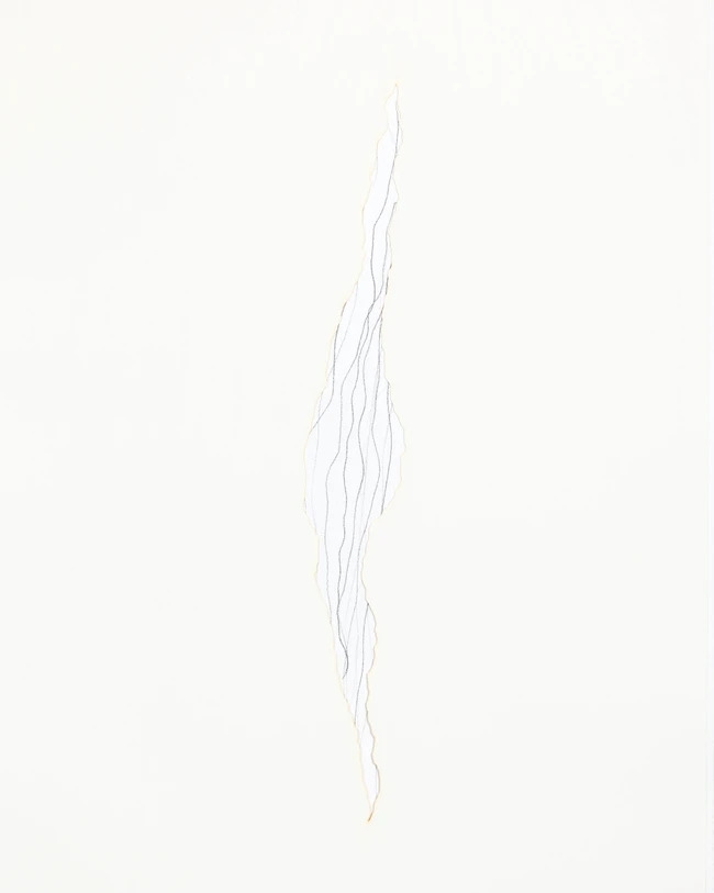 Artwork by Anish Kapoor, Wound, Made of Silk Covered Book With Text Printed In Letterpress Onto Blanc Anciens 310Gsm Handmade Paper