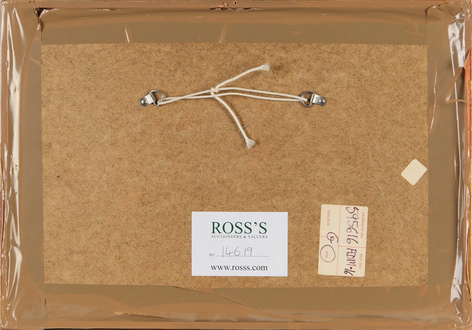 Artwork by H Molly Park, GUN DOGS, Made of Watercolour Drawing