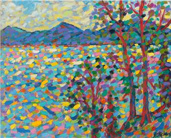 MOUNTAINS & LAKE OF IRELAND - Paul Stephens