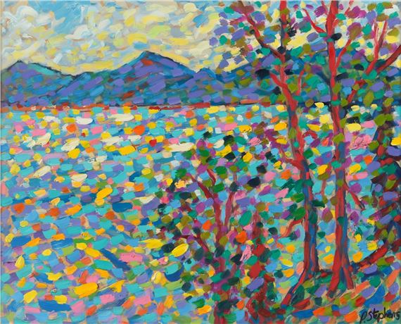 MOUNTAINS & LAKE OF IRELAND - Paul Stephens