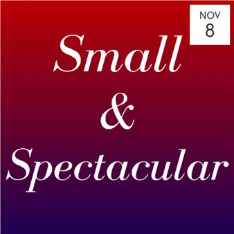Small & Spectacular - Juried Artist Members - Rockport Art Association & Museum