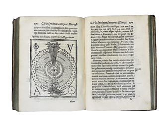 Prodromus coptus aegytiacus