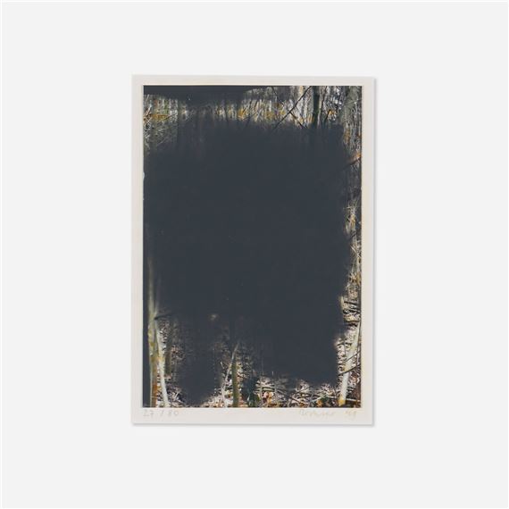 Untitled - Gerhard Richter