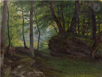 Undergrowth at Meyringen