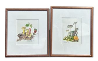 Pulveroboletus - Katrina Syme