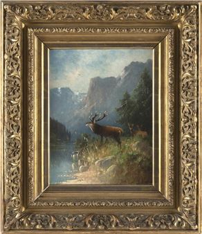 Deer in the mountains