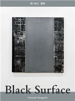 Noriyuki Haraguchi: Black Surface - YOD Gallery, Tokyo