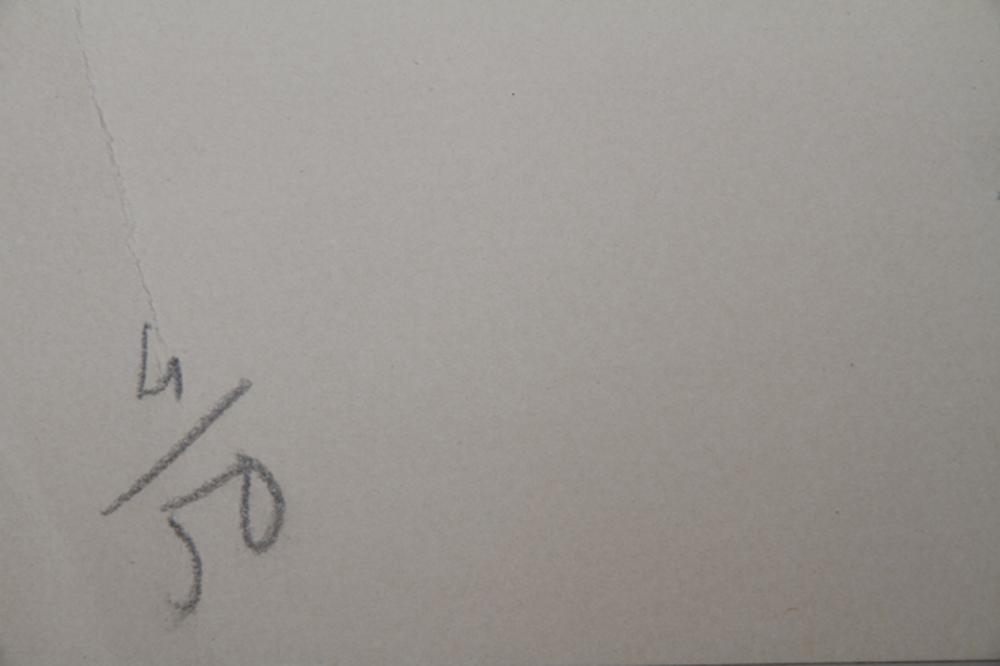 Artwork by Claes Oldenburg, Fagends Carved in Rock, Fagend Canyon, Made of Offset Lithograph On Wove Paper