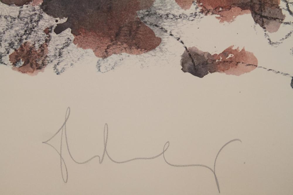 Artwork by Claes Oldenburg, Fagends Carved in Rock, Fagend Canyon, Made of Offset Lithograph On Wove Paper