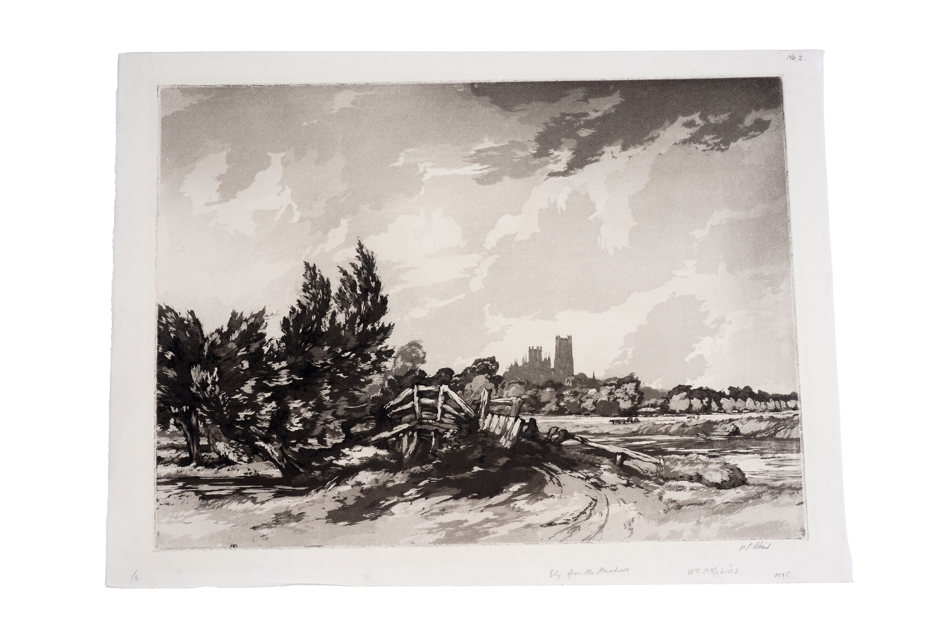 Artwork by William Palmer Robins, Ely from the Meadows, Made of Aquatint