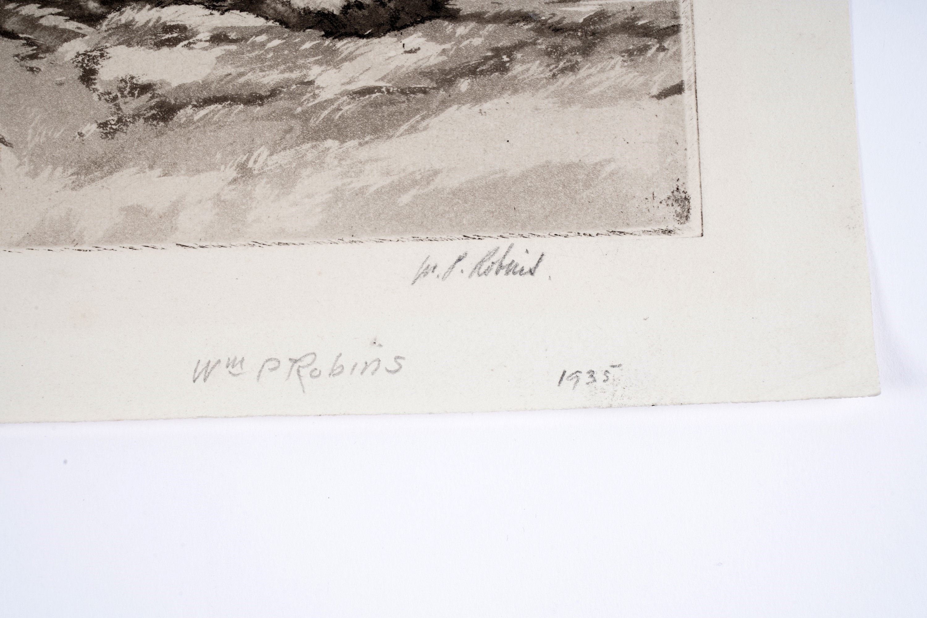 Artwork by William Palmer Robins, Ely from the Meadows, Made of Aquatint