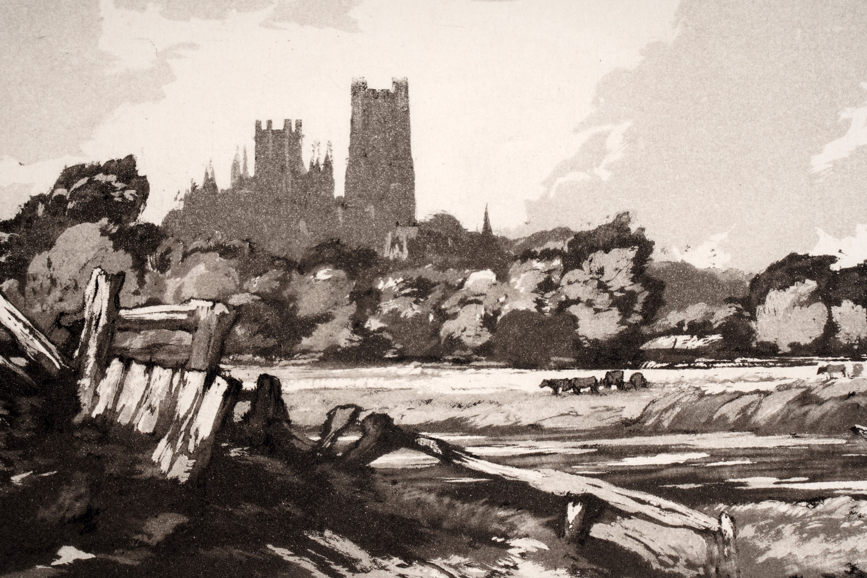 Artwork by William Palmer Robins, Ely from the Meadows, Made of Aquatint