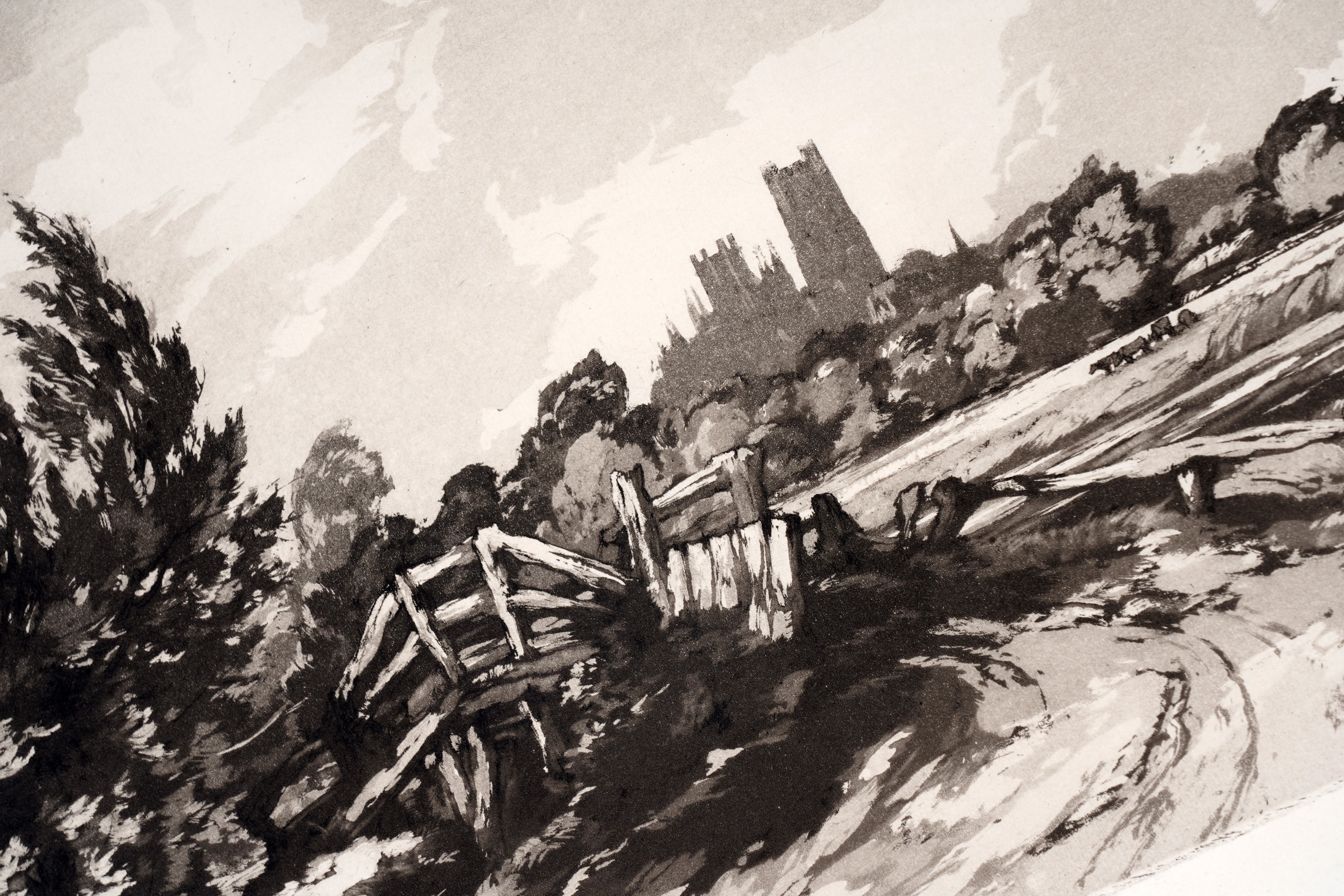 Artwork by William Palmer Robins, Ely from the Meadows, Made of Aquatint