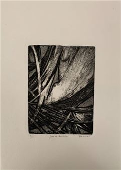 Play of light - Andrea Delibes