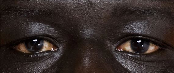 Document Nederland - Rijksmuseum Amsterdam