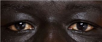 Document Nederland - Rijksmuseum Amsterdam