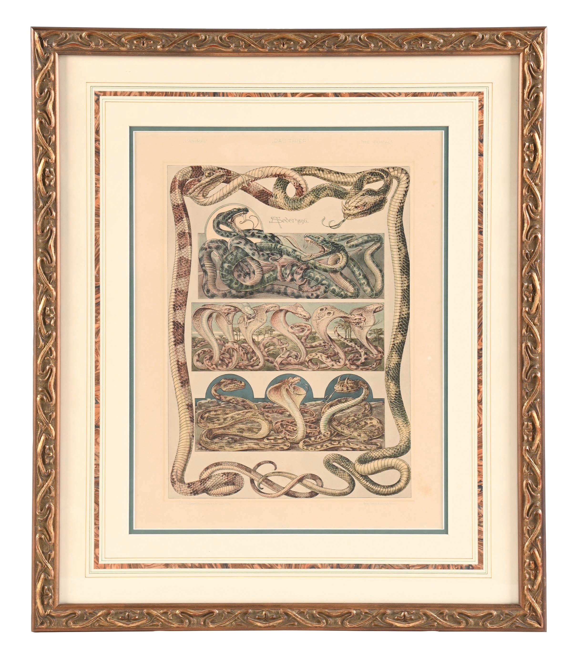 Anton Seder | Snakes (1895) | MutualArt