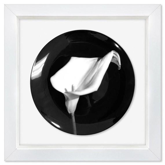 Calla Lily by Robert Mapplethorpe, 1987