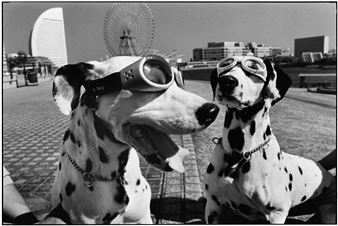 Elliott Erwitt: Last Laugh - Atlas Gallery
