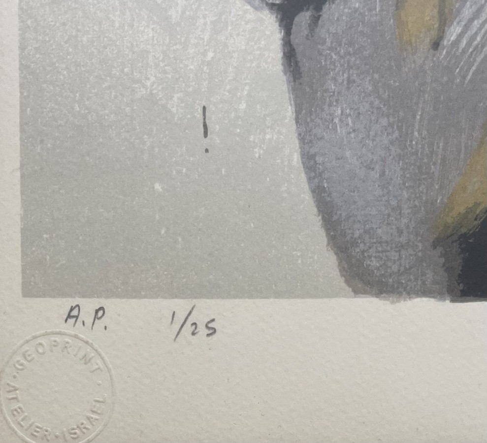 Artwork by Uri Lifschitz, The biker, Made of Silkscreen