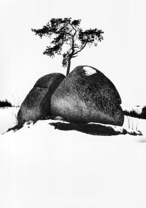 Anzenberger Group: The Christmas Show