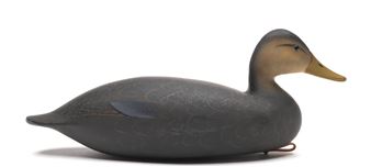 Duck - George Strunk