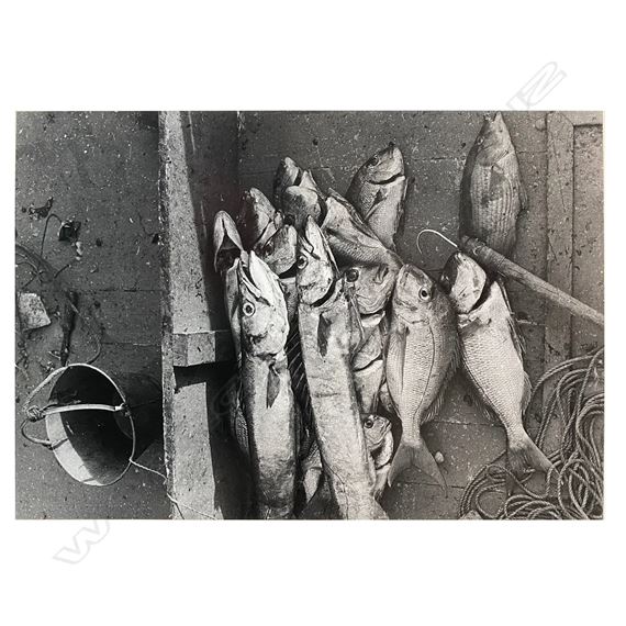 Night catch Cavalli Islands, Northland - Gary Baigent