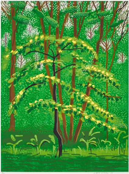 The Arrival of Spring in Woldgate, East Yorkshire in 2011 (twenty eleven) - 19 May