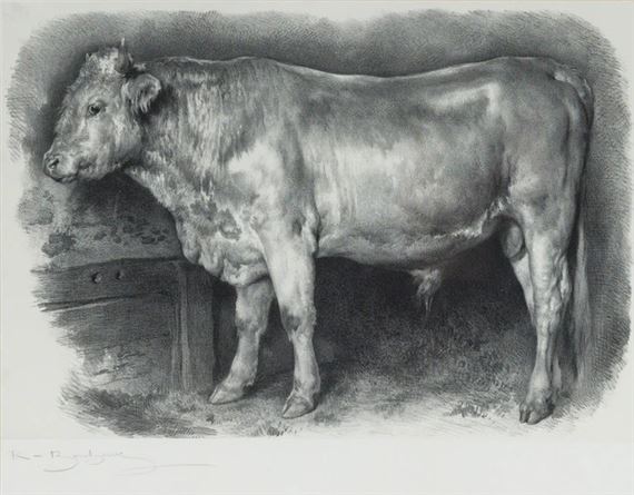Study of a bull; Study of two bulls by Rosa Bonheur